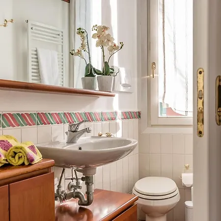 7 Windows On By Lionhost *